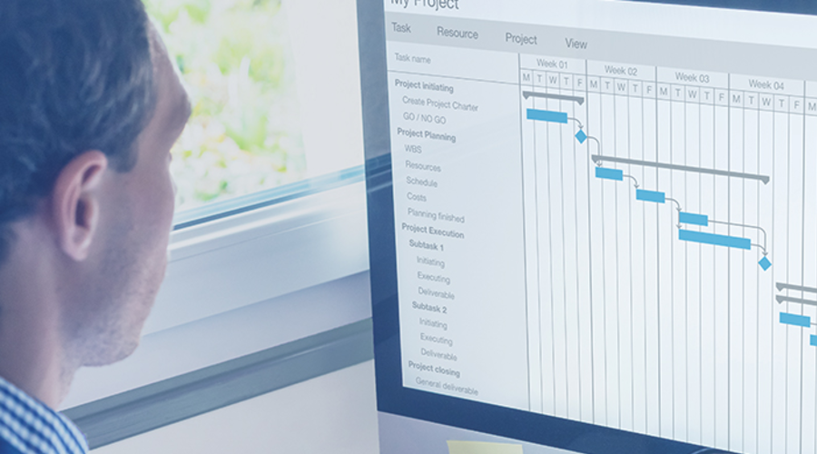 A man looking at the computer